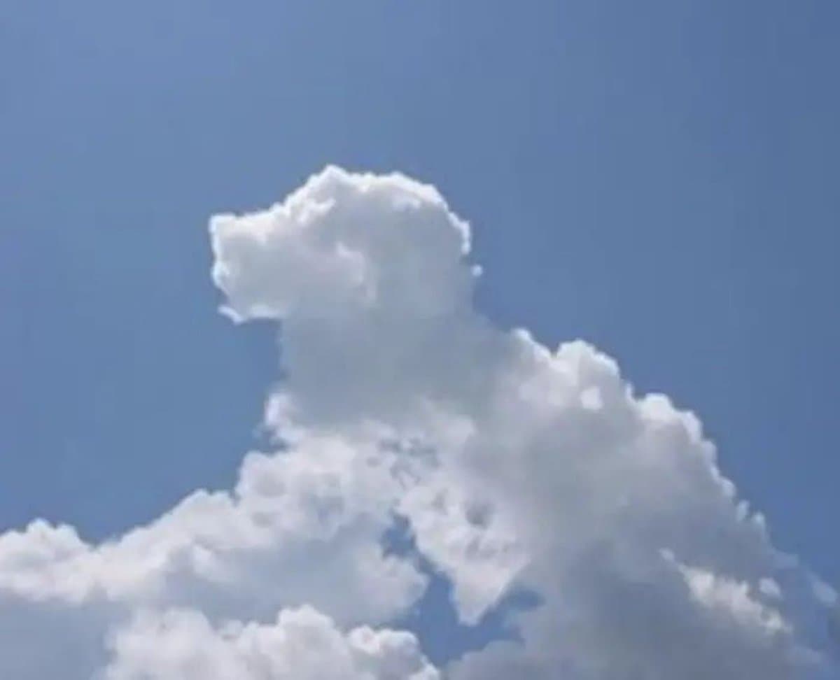 Cloud Shape Doodle Art Overlay