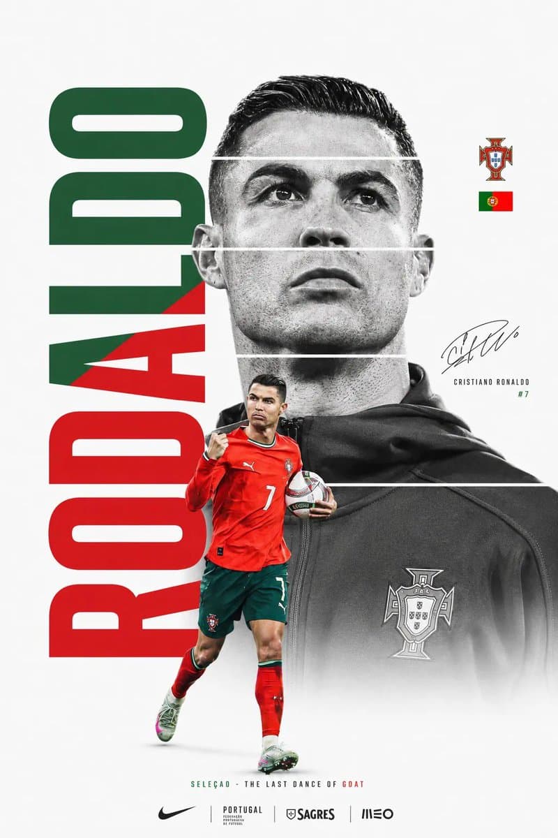 Stunning Fifa World Cup Minimalist Poster